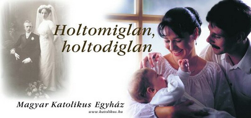 2003. Holtomiglan, holtodiglan